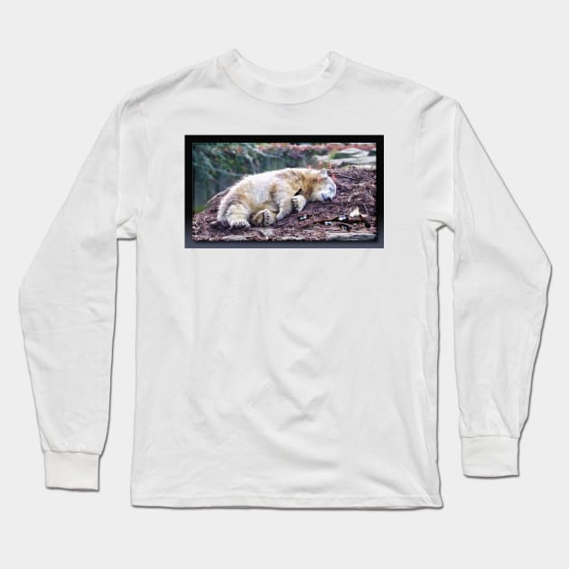 Coca-Cola My Ass Long Sleeve T-Shirt by rgerhard